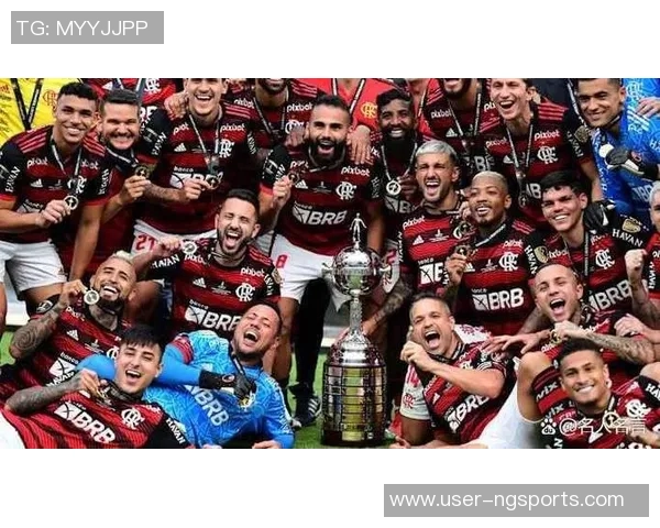 南美解放者杯决赛球队的巴西统治力近十年显著体现 南美解放者杯决赛球队的巴西统治力近十年显著体现